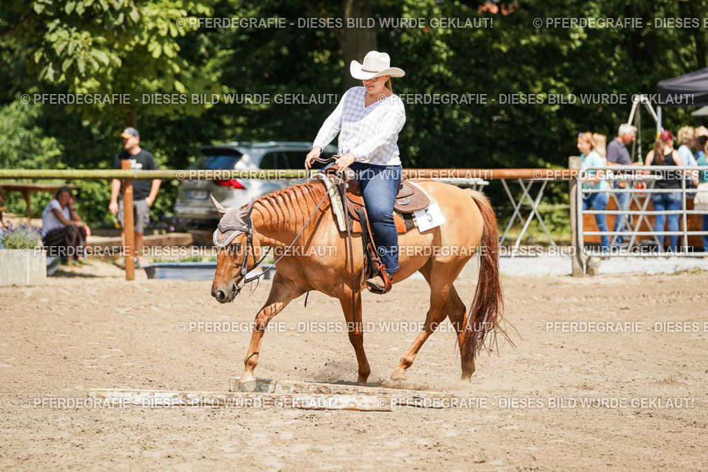 DSC07811 | Pferdegrafie