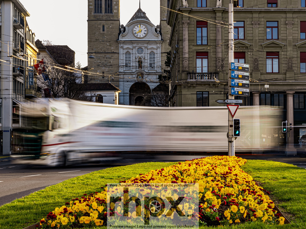 Erste Fruehlingsboten in Luzern 2026 | Stimmungsvolle Fotokunst aus Luzern. Erlebe den Pilatus, den See und die Stadt Luzern in exklusiven Aufnahmen in der Fotogalerie & Shop. - Realisiert mit Pictrs.com