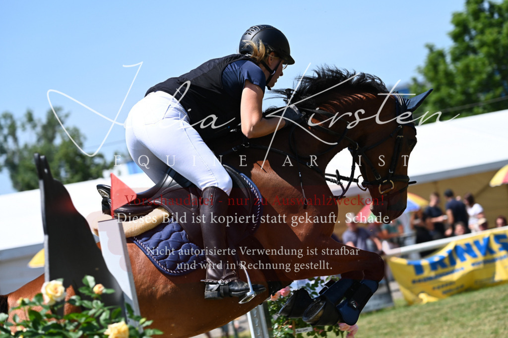 DSC_0633 | Pferde- und Turnierfotografie in Westsachsen. Pferdeportraits, Auftragszeichnungen und intuitive Kunst.