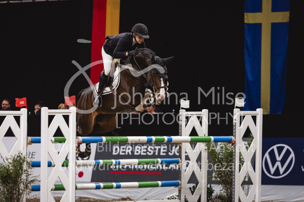 241103_Oldenburg_FinaleYoungster-627 | Deine schönsten Turniermomente als professionelle Fotos! Entdecke hochwertige Pferdesport-Fotografie im Online-Shop. Jetzt Fotos finden & bestellen!