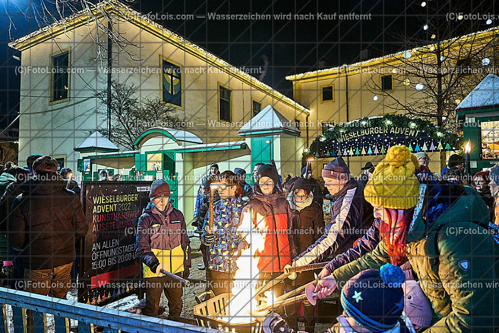 ALP9364_Wieselburger ADVENT_Wintersonnenwende_Fackeln | (C)FotoLois.com, Alois Spandl, Wieselburger Advent, Wintersonnenwendfeier mit Umzug durch die Stadt, Sonnenwendfeuer und Perchtenlauf mit Show im Schlosspark, Mitwirkung der Partnergemeinde EINBECK, Sa 17. Dezmber 2022.