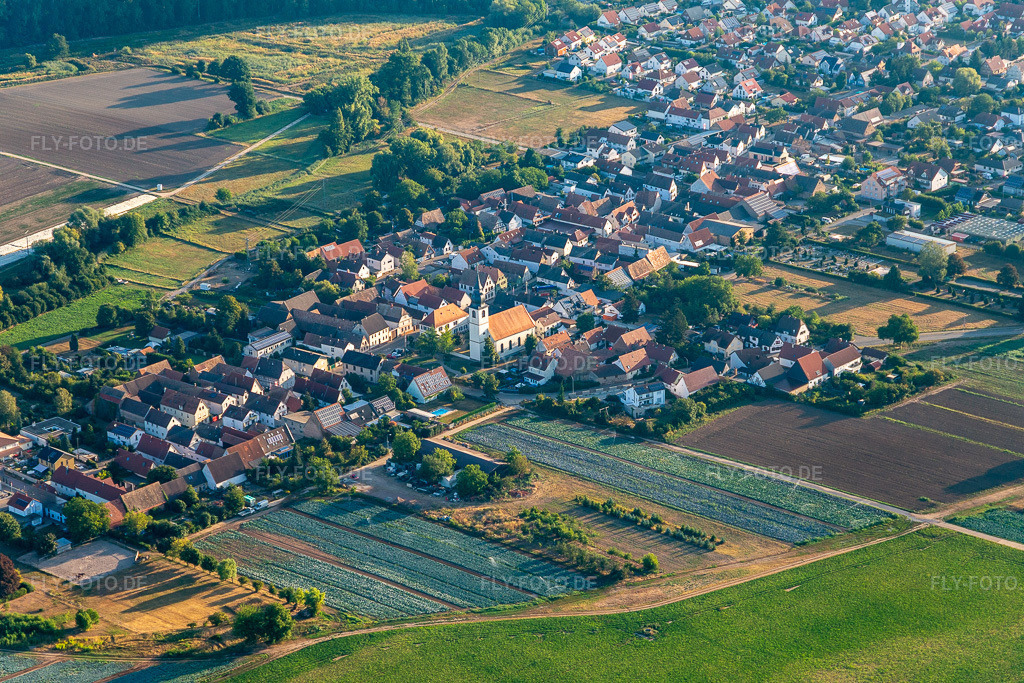 Luftbild:  in Freisbach im Bundesland Rheinland-Pfalz in Deutschland. – Foto: IMG_133889.jpg vom 21.08.2022 durch Werner Riehm/FLY-FOTO.de – Auflösung des Originals: 5472 x 3648 px – Freisbach