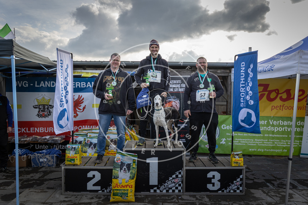 0L8A9149 | Hundefotografie, Tierfotograf, Pfotenfotografie, Fotoshooting Hund, Hunde Portrait, Hundesport, Hundeportraits, Heideshooting, Hunde, Sportfotograf, Hundefotograf, Turnierhundsport, THS,  - Realisiert mit Pictrs.com