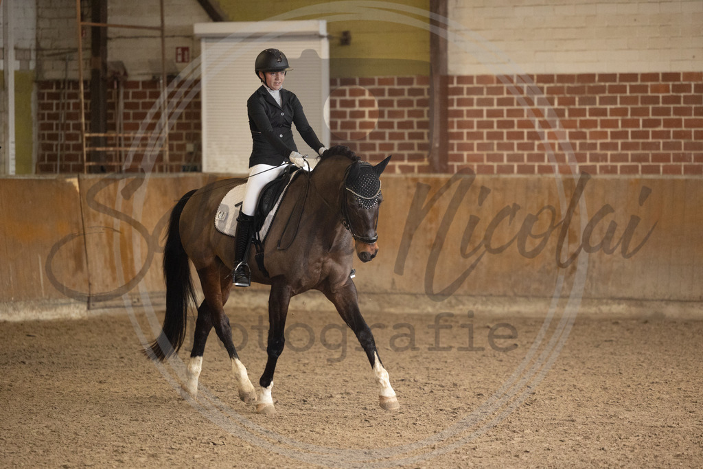 994A8845 | sabrinanicolaifotografie - Realisiert mit Pictrs.com