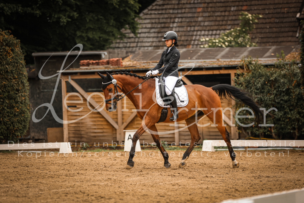 DoDrA00196 | Leoni Ertmer Photography - Realisiert mit Pictrs.com