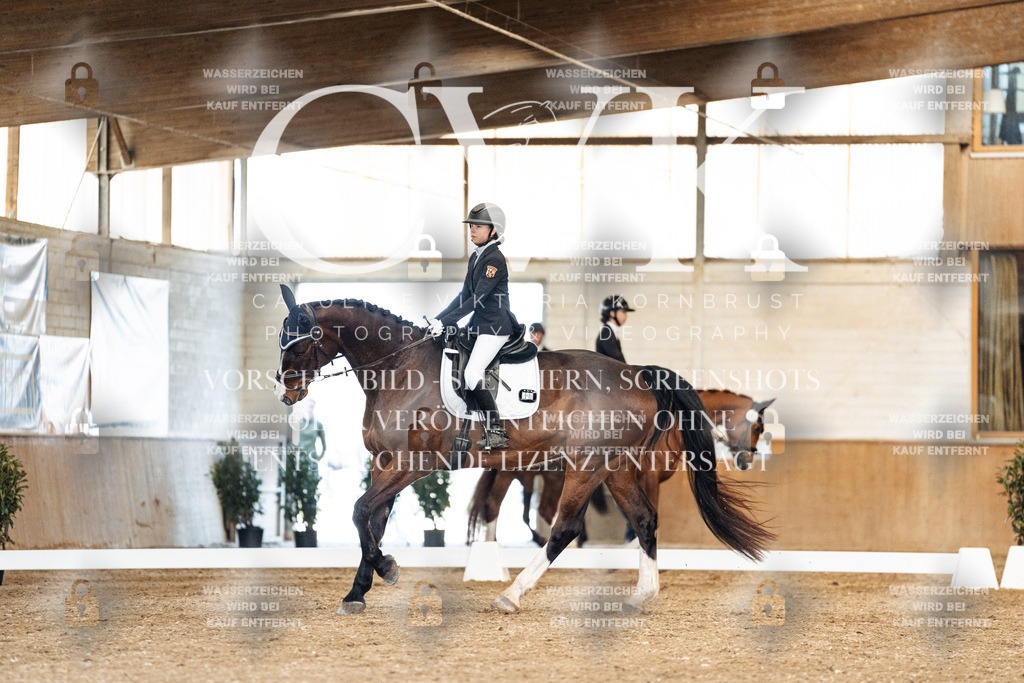 CK901190 | Turnierfotografie Pferdefotografie Trier Rheinland-Pfalz Pferdesport Reitsport Tierfotografie Sportfotografie Pferdevideo Pferdevideografie Equestrianvideography equestrianphotography  - Realisiert mit Pictrs.com