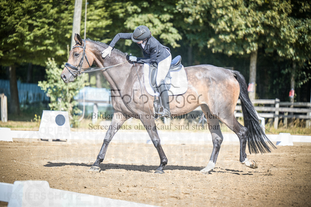 DOS_3445 | Entdecke hochwertige Reitturnierfotos von Foto Oger. Professionell, emotional und authentisch – jetzt Lieblingsmomente im Shop bestellen.Deutschlandweite Turnierfotografie. - Realisiert mit Pictrs.com