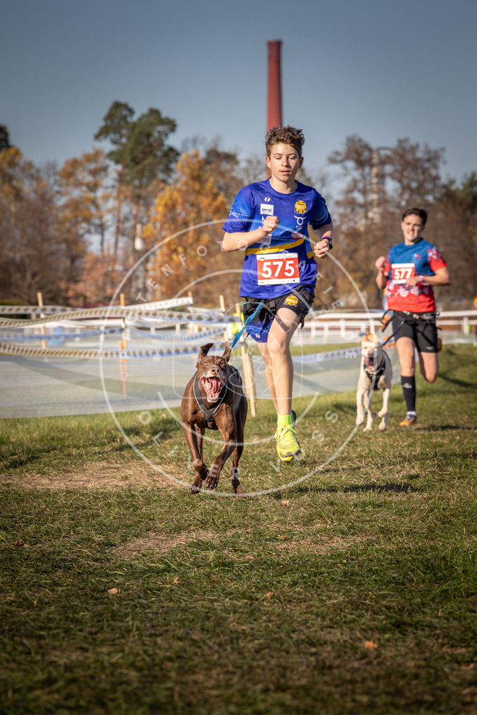 CaniXpix_0L8A8098 | Hundefotografie, Tierfotograf, Pfotenfotografie, Fotoshooting Hund, Hunde Portrait, Hundesport, Hundeportraits, Heideshooting, Hunde, Sportfotograf, Hundefotograf, Turnierhundsport, THS,  - Realisiert mit Pictrs.com