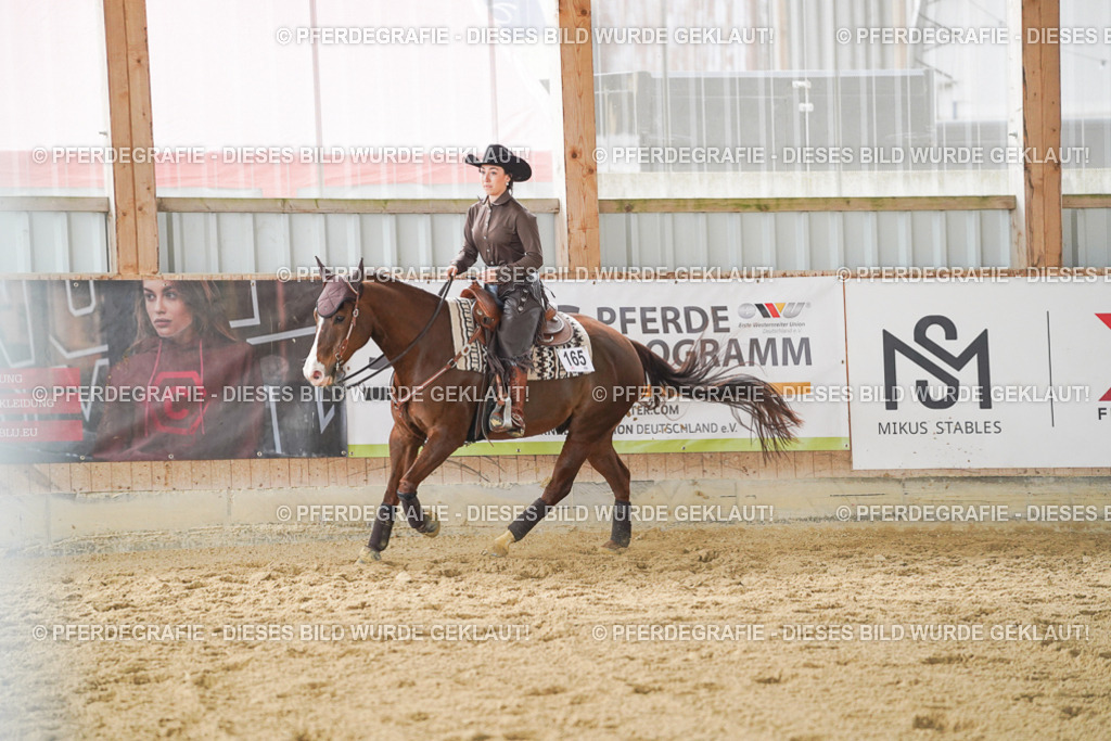 DSC04778 | Pferdegrafie