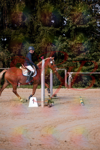 2026_10_03_Siefer-Hof_144624_Z81_22214298 | Professionelle Reitsport-, Turnier- und Eventfotografie von Robert Broda. Galerien mit ausgewählten und bearbeiteten Bildern direkt online ansehen und bestellen.
