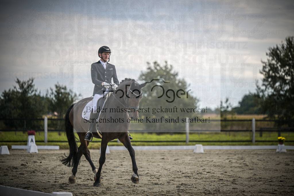 DOS_1279 | Entdecke hochwertige Reitturnierfotos von Foto Oger. Professionell, emotional und authentisch – jetzt Lieblingsmomente im Shop bestellen.Deutschlandweite Turnierfotografie. - Realisiert mit Pictrs.com