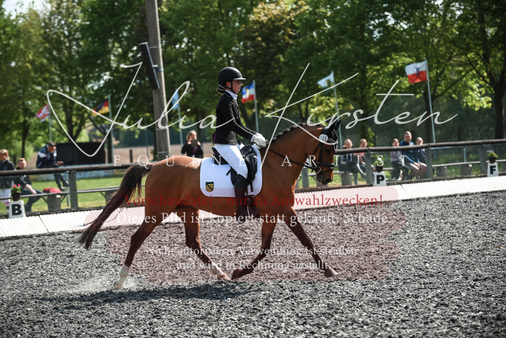 DSC_8994 | Pferde- und Turnierfotografie in Westsachsen. Pferdeportraits, Auftragszeichnungen und intuitive Kunst.