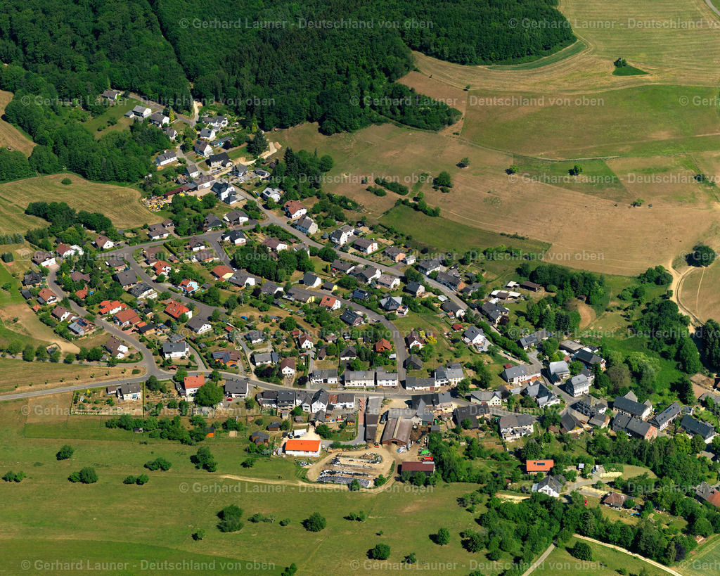 Leisel-3111578 | Leisel