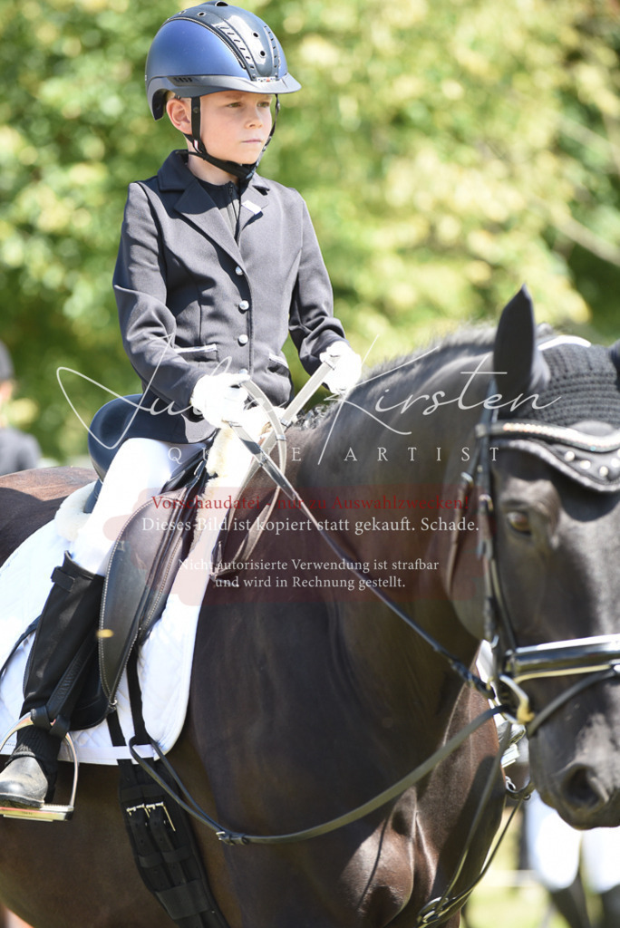 DSC_9747 | Pferde- und Turnierfotografie in Westsachsen. Pferdeportraits, Auftragszeichnungen und intuitive Kunst.