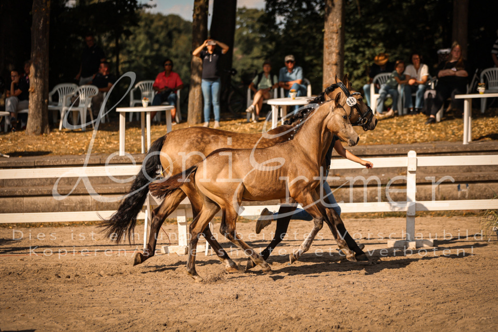 11.DoRP00012 | Leoni Ertmer Photography - Realisiert mit Pictrs.com