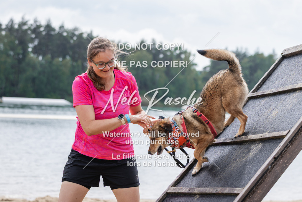 nelerasche_BuHu2026_So1530-Ende_25 | nelerasche