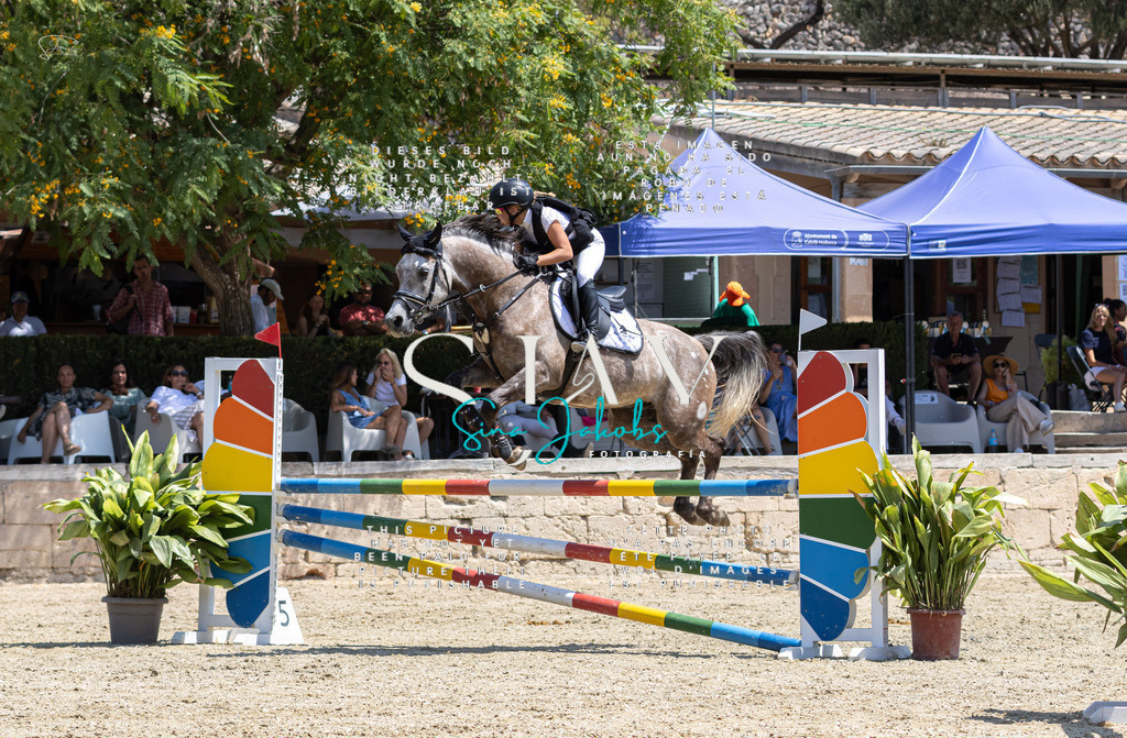 IMG_6226 | s-jay-photography - Realisiert mit Pictrs.com