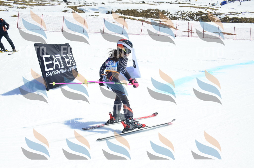 _ELE1015 | holidayphoto