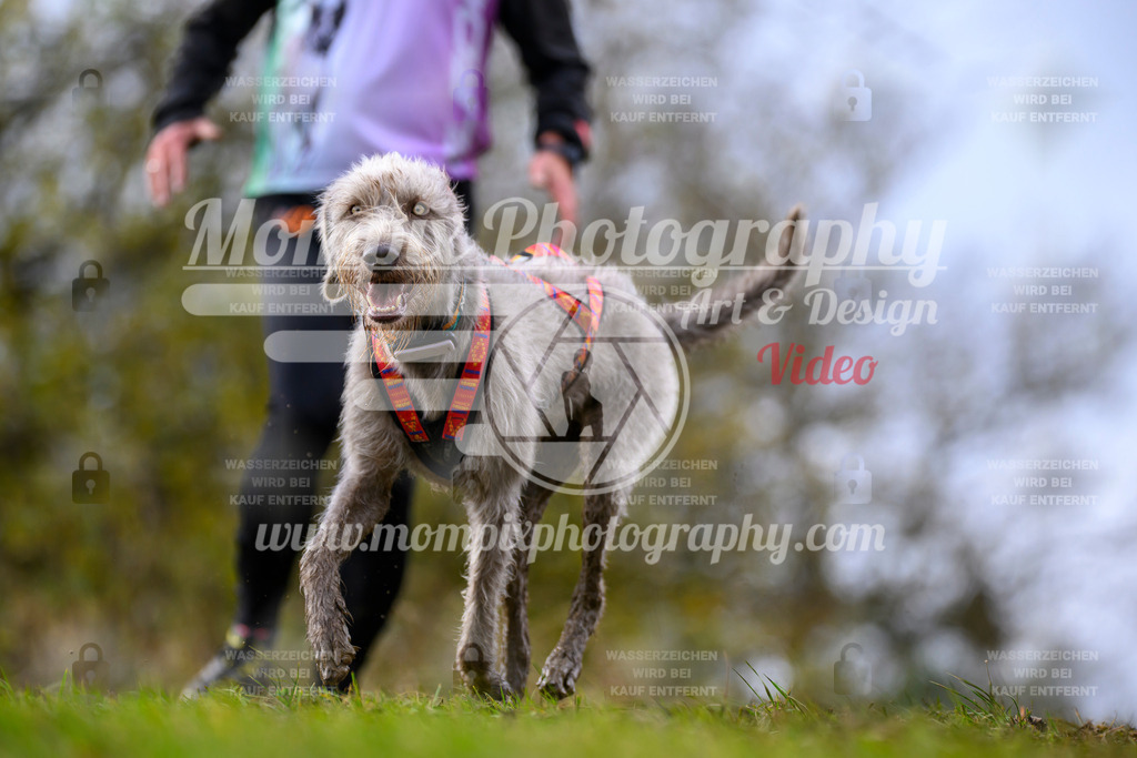 MompixPhotography_2OATB_SO_Run-35 | PayLife