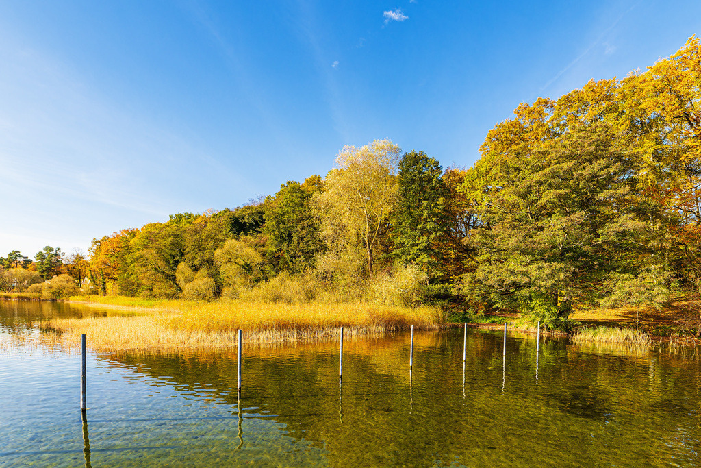 Dalben am Plauer See in der Stadt Plau am See | Dalben am Plauer See in der Stadt Plau am See.
