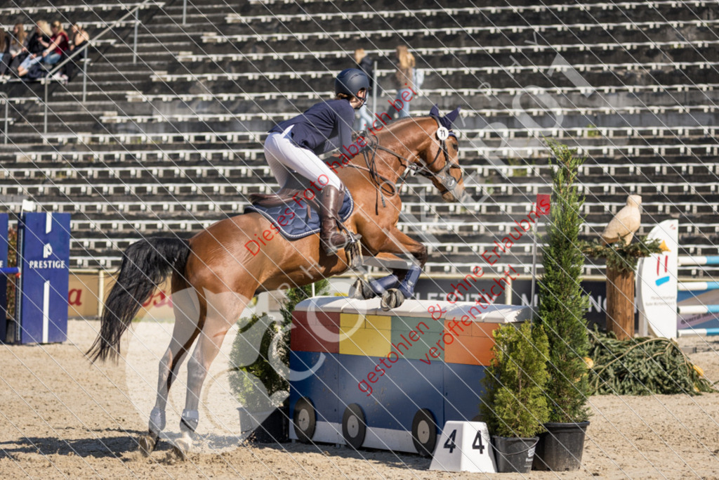 IMG_3765 | Sport-, Event- und Tierfotos in Profiqualität. Einfach auswählen, bestellen und herunterladen. Dein Moment – perfekt festgehalten.
