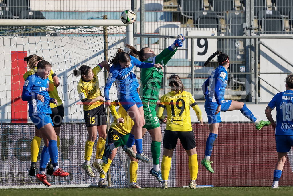 Fussball, 2. Frauen-Bundesliga, SV Meppen - SV 67 Weinberg | v.li.: Nina Rolfes (SV Meppen, 3), Annika Kömm (SV 67 Weinberg, 15), Laura Bröring (SV Meppen, 6) und Franziska Glaser (Torhüterin, Torwart, SV 67 Weinberg, 33) im Zweikampf, Duell, Dynamik, Aktion, Action, Spielszene, DIE DFB-RICHTLINIEN UNTERSAGEN JEGLICHE NUTZUNG VON FOTOS ALS SEQUENZBILDER UND/ODER VIDEOÄHNLICHE FOTOSTRECKEN. DFB REGULATIONS PROHIBIT ANY USE OF PHOTOGRAPHS AS IMAGE SEQUENCES AND/OR QUASI-VIDEO.