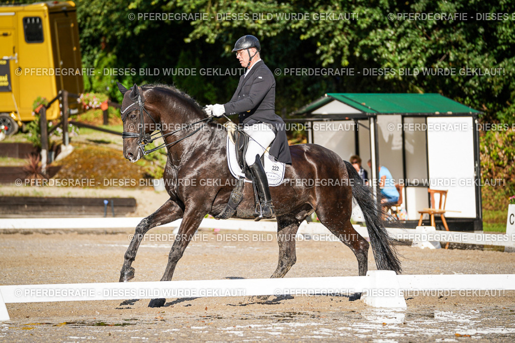 DSC00649 | Pferdegrafie