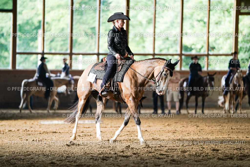 DSC05587 | Pferdegrafie