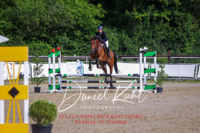 DKP41126 | Turniersportfotografie; Pferdefotografie; Dressurfotografie