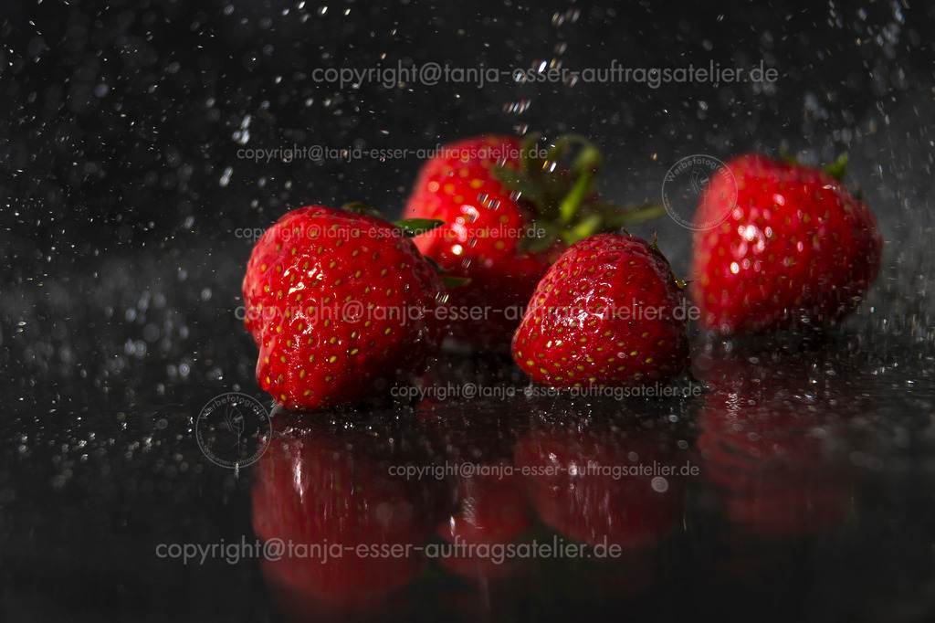 Erdbeeren mit Wasser Spritzern vor schwarzem Hintergrund | Erdbeeren mit Wasser Spritzern vor schwarzem Hintergrund. Rot, frisch, knackig und saftig.
