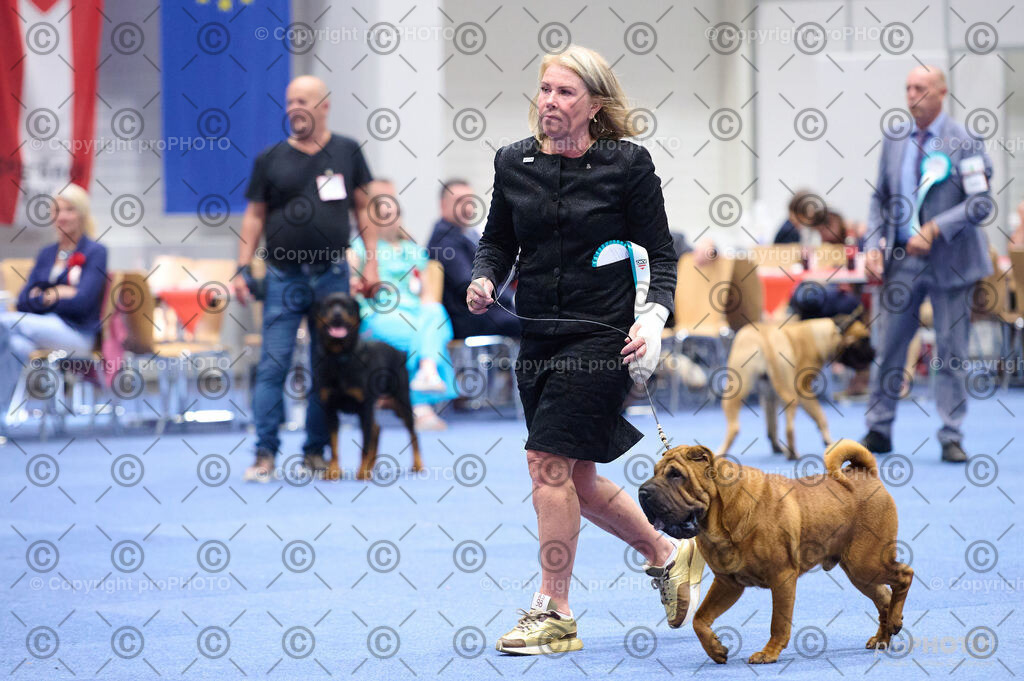 202406_ÖKV-IHA-Tulln24_DSC_2953 | proPHOTO - Realisiert mit Pictrs.com