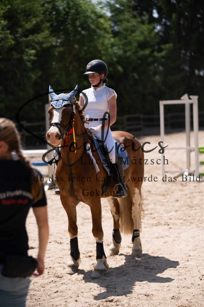 A7V08429 | Pferdefotograf