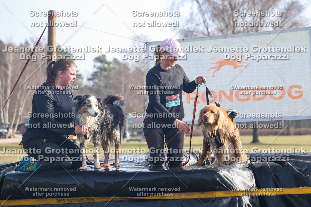 Dog Paparazzi - Strongdog North Mrz26-645 | Dog Paparazzi Jeanette Grottendiek Fotografie & Videografie - Realisiert mit Pictrs.com
