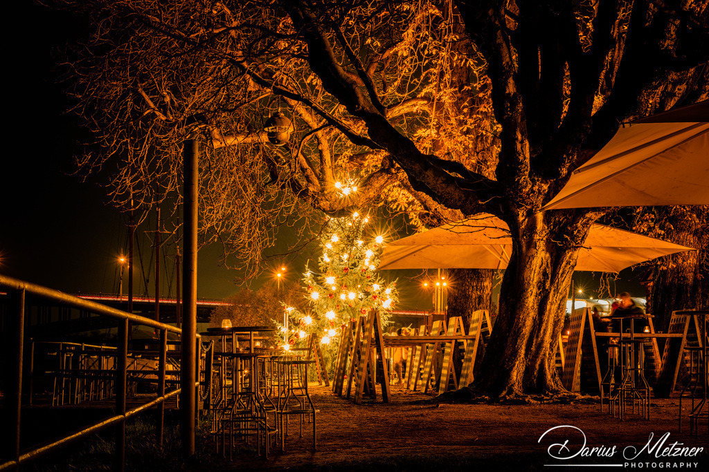 Der Weihnachtsbaum in Mainz-Kastel | Der Weihnachtsbaum in Mainz-Kastel