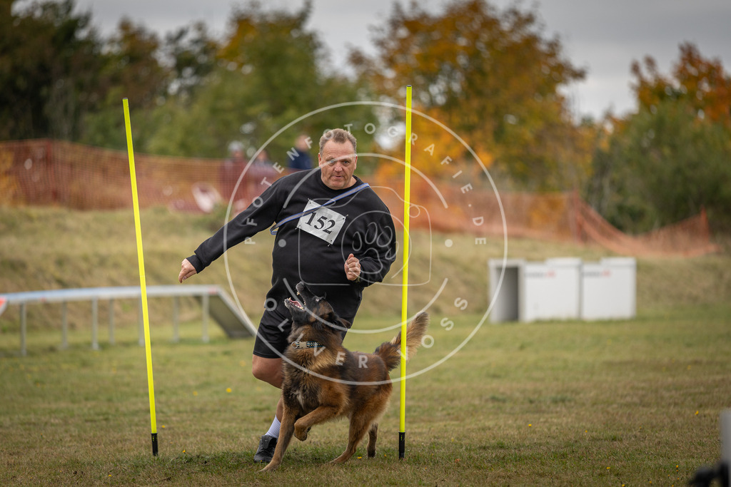 Pfotenfotografie_DV3A6458 | Hundefotografie, Tierfotograf, Pfotenfotografie, Fotoshooting Hund, Hunde Portrait, Hundesport, Hundeportraits, Heideshooting, Hunde, Sportfotograf, Hundefotograf, Turnierhundsport, THS,  - Realisiert mit Pictrs.com
