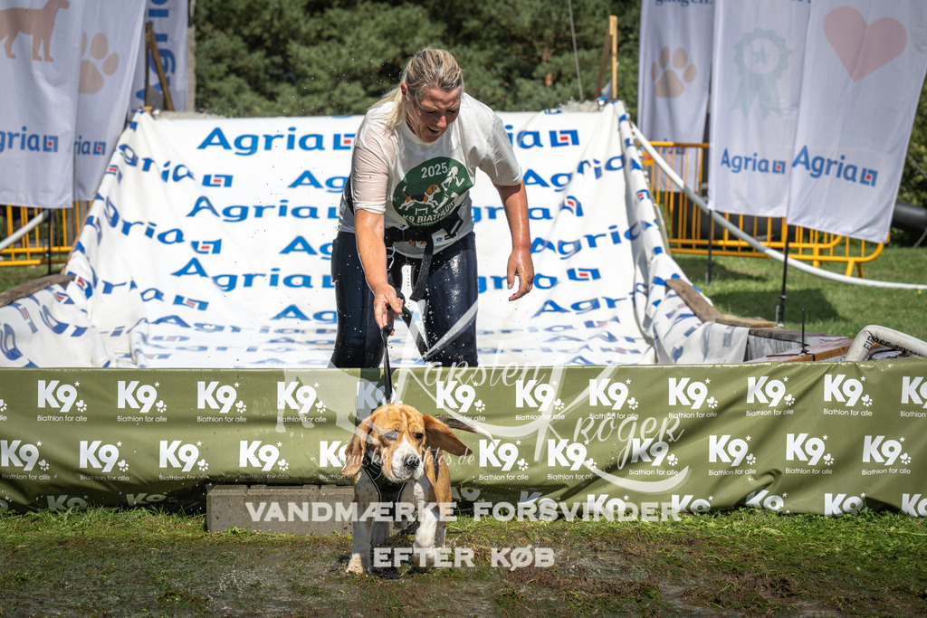 1425_ZZ94036 | kk-dogfotos