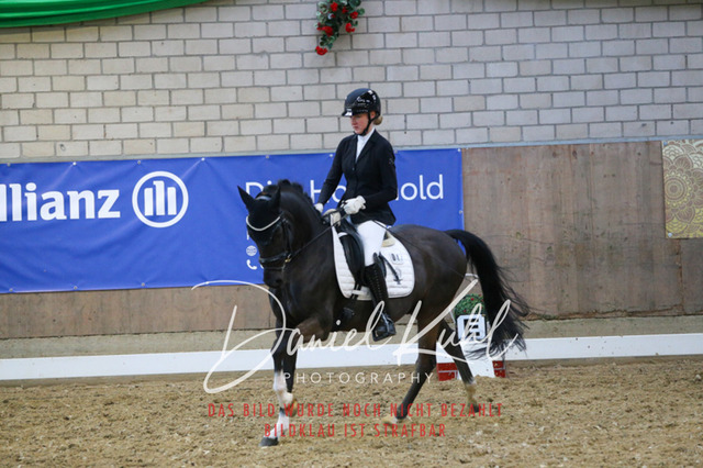 IMG_2803 | Turnierfotos kaufen im Webshop von Daniel Kuhl Photography – entdecke professionelle Reitsportfotos aus Turnieren & Events. Hochwertige Turnierbilder online bestellen & sichern. Jetzt Fotos von Reitsportturnieren kaufen!