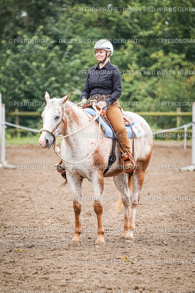 DSC02037 | Pferdegrafie