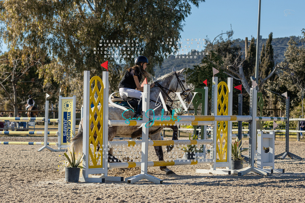 IMG_2093 | s-jay-photography - Realisiert mit Pictrs.com