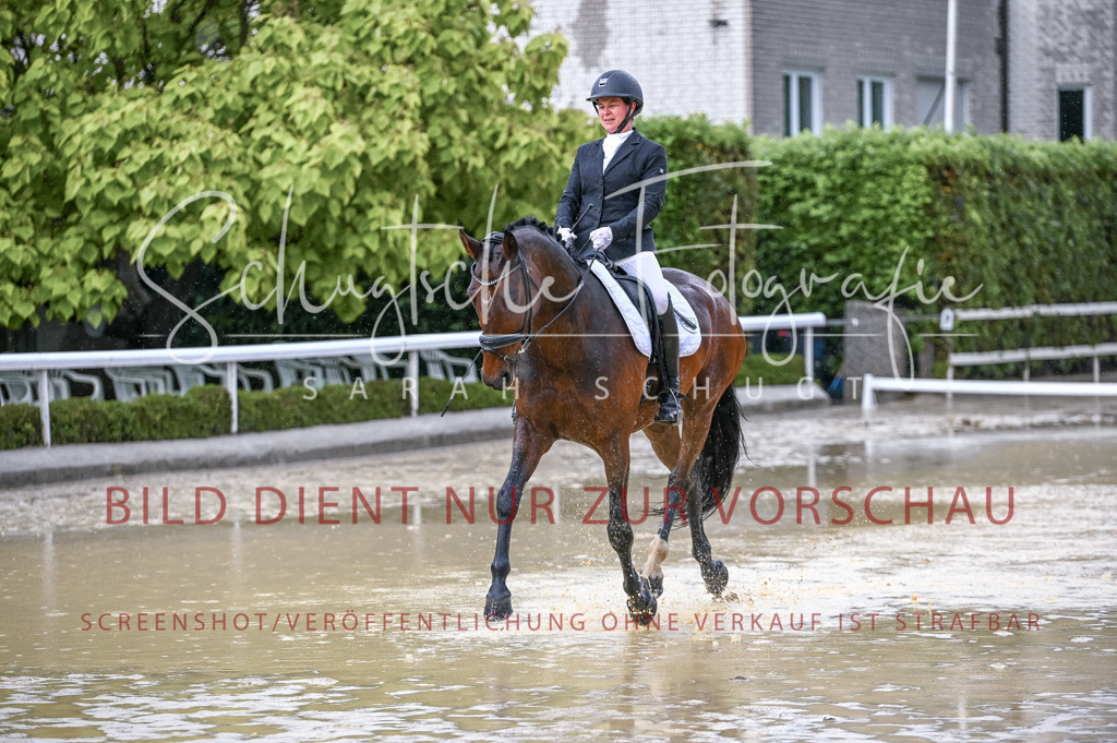 Schugtsche-Aluta25-54.Dressurprf.L1Trense-109 | Schugtsche Fotografie - Realisiert mit Pictrs.com