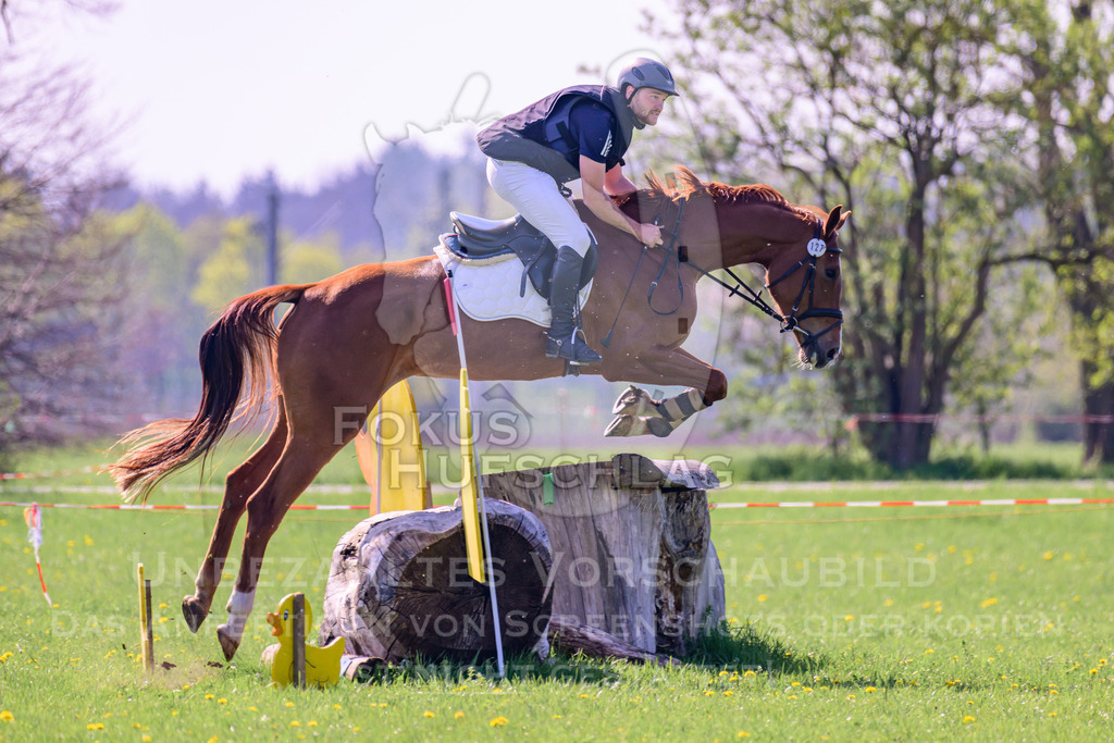 18042026-Gernlinden-03-0550 | Fokus Hufschlag Fotografie - Realisiert mit Pictrs.com