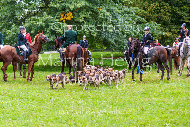 Jagd Perdoel 26 Sony-04195_MarinaHewig | Fotografie, FotoArt, PferdesportArt, Pferdesportfotografie, Landschaftsfotografie, Reisefotografie, Reise, Pferde - Realisiert mit Pictrs.com