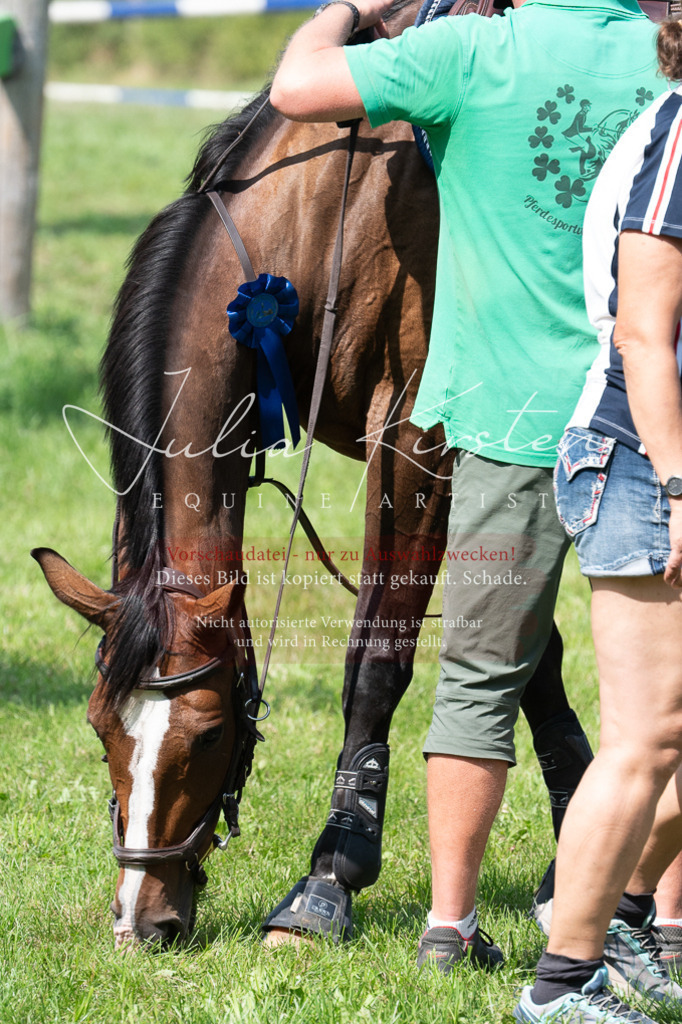 DSC_0730 | Pferde- und Turnierfotografie in Westsachsen. Pferdeportraits, Auftragszeichnungen und intuitive Kunst.