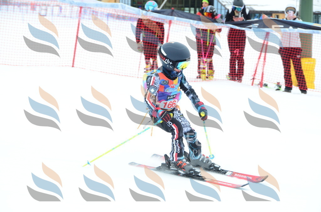 DSC_1572 | holidayphoto