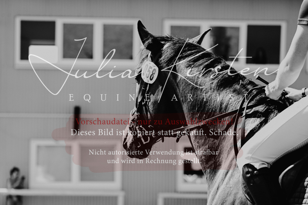 DSC_1272 | Pferde- und Turnierfotografie in Westsachsen. Pferdeportraits, Auftragszeichnungen und intuitive Kunst.