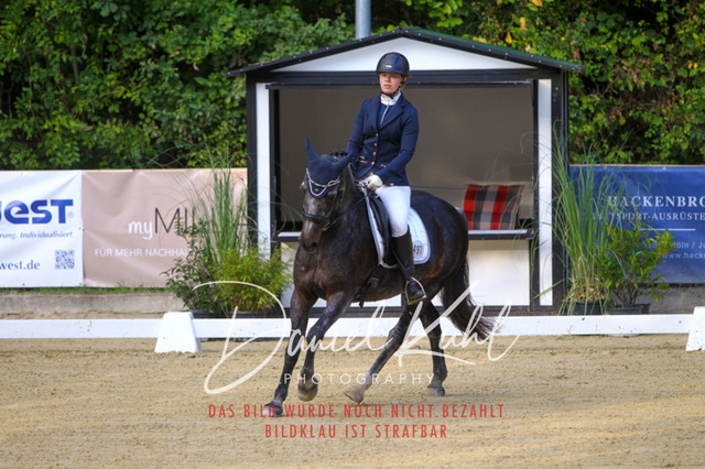 DKP41138 | Turniersportfotografie; Pferdefotografie; Dressurfotografie