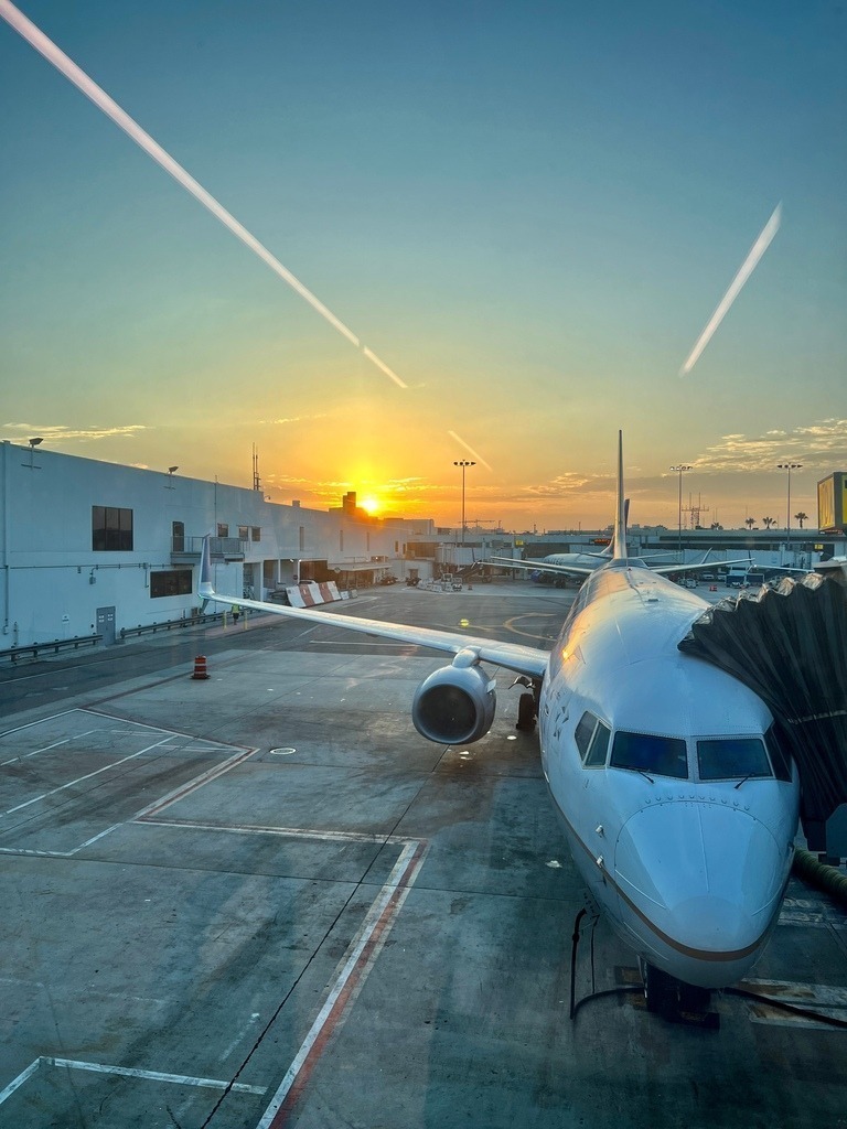 IMG_7966 | ace - Realisiert mit Pictrs.com