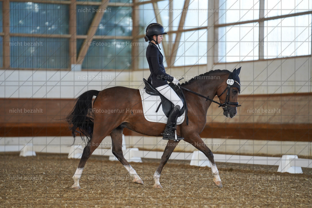20240824-FAH07190 | Thierhaupten 2024, Bayerisches Landesponyturnier, Turnierbilder, Ponybilder, Turnierfotografen Bayern, Fotoagentur Herrmann