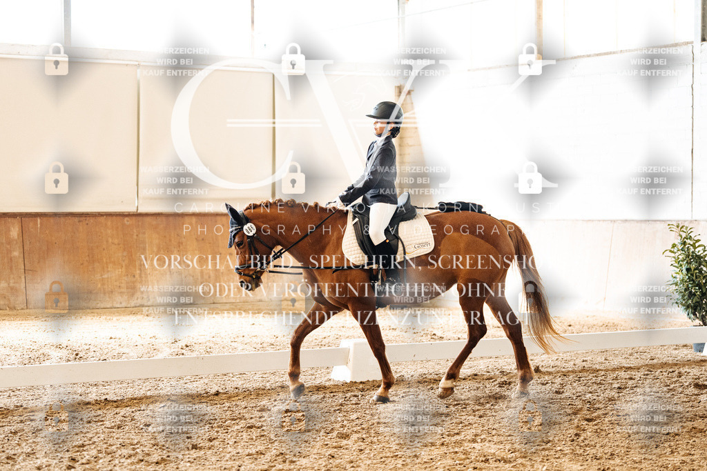 CK900116 | Turnierfotografie Pferdefotografie Trier Rheinland-Pfalz Pferdesport Reitsport Tierfotografie Sportfotografie Pferdevideo Pferdevideografie Equestrianvideography equestrianphotography  - Realized with Pictrs.com
