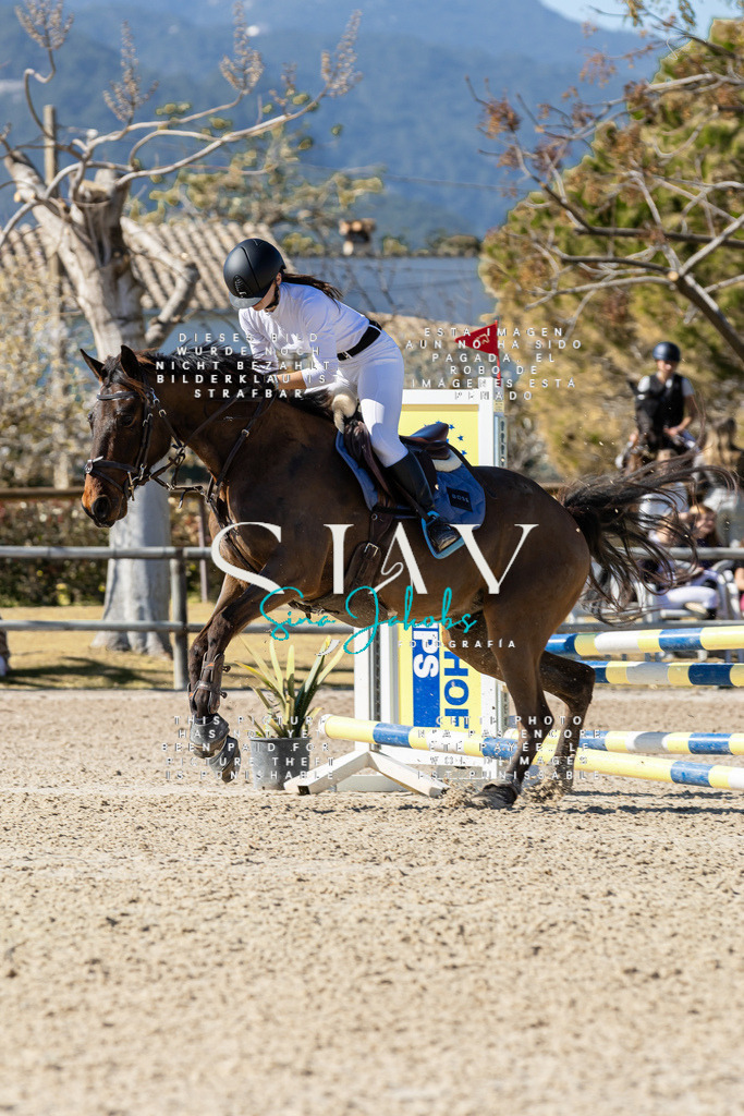 IMG_0609 | s-jay-photography - Realisiert mit Pictrs.com